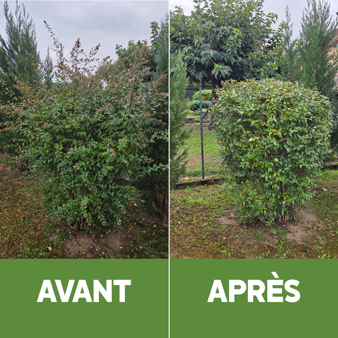 Réalisation 3