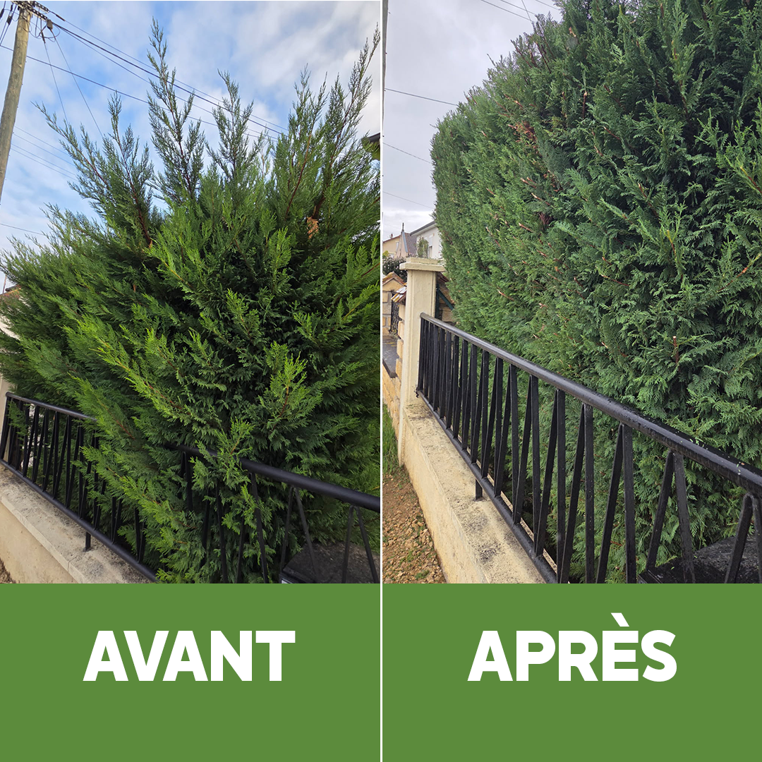 Réalisation 5